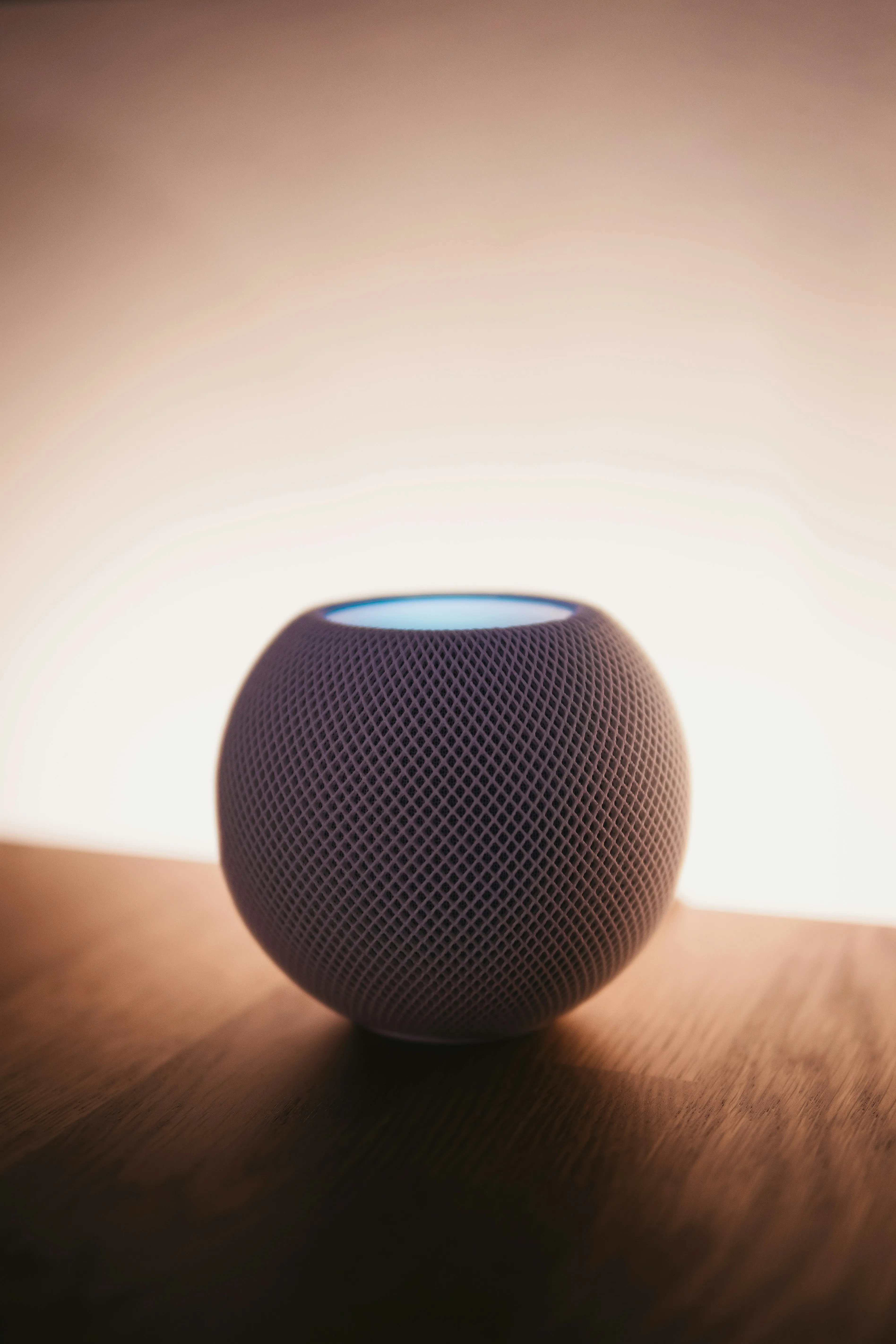 Harmony Smart Speaker